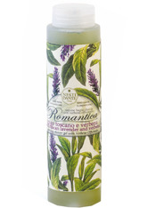 Nesti Dante Firenze Pflege Romantica Lavender & Verbena Shampoo 300 ml