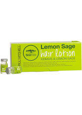 Paul Mitchell Tea Tree Hair Lotion Keravis & Lemon-Sage 12 x 6 ml Ampullen