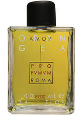 Pro Fvmvm Roma Orangea Eau de Parfum 100 ml